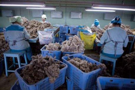 内蒙古羊绒产业,内蒙古羊绒业