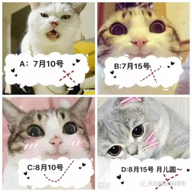 去妇科看病的步骤,妇科取样正确姿势