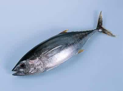 死鱼吃了会中毒吗,吃死鱼会不会中毒