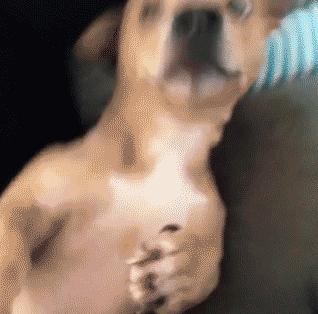 这几样国货虽丑但真的很好用,因为太便宜而被忽略的良心国货