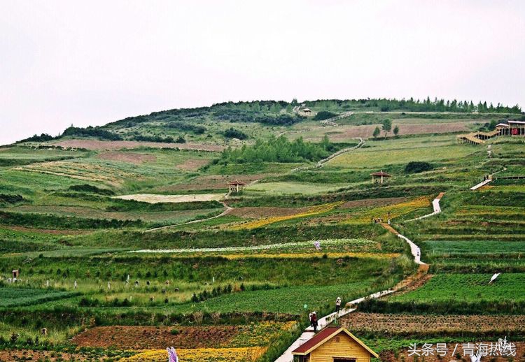 湟中区乡村旅游发展概况,青海湟中县上五庄镇乡村旅游