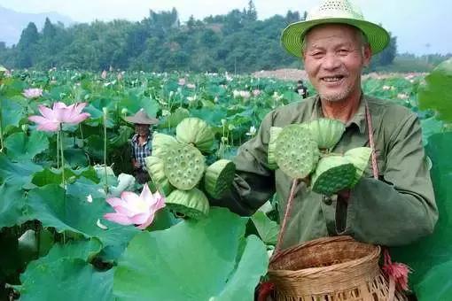 小伙卖瓜赚自己村里的钱,小伙农村卖水果致富