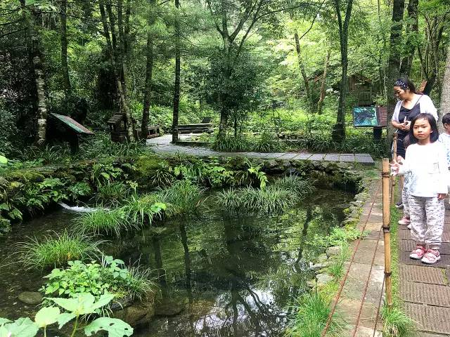 北纬30°神秘之境,在高山草甸、追逐鹿群,这里美的像天堂!