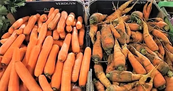 日本民众抢疯蔬菜,日本人抢购中国食物