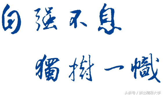 十所著名高校校训,各大高校校训及解析