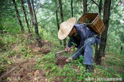 神医深山救治妇人故事,深山寻药真实故事