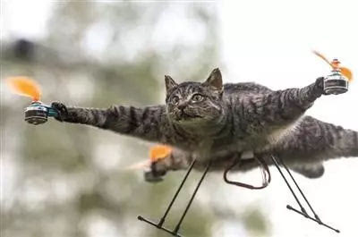 战狼2人脸识别智能锁,战狼2侦察兵