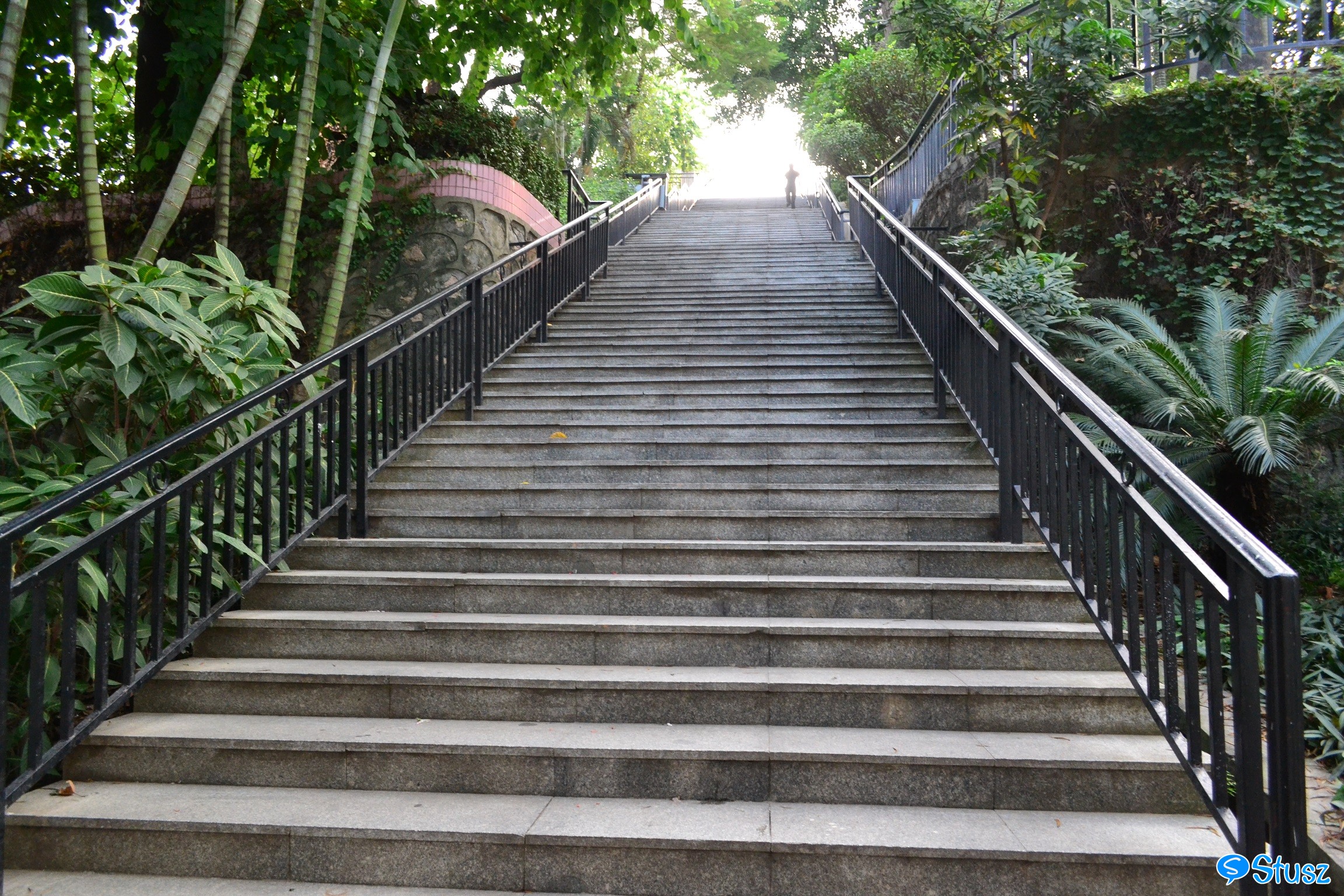 Stusz独家：观澜中学，现代化的百年老校