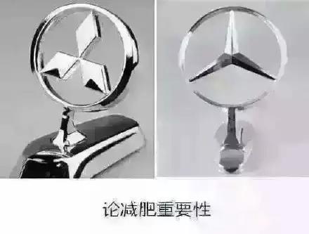 减肥是一辈子的事是谁说的,瘦是一顿一顿瘦出来的