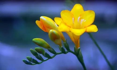 这个周末带孩子去玩,赏花春游好去处花博园