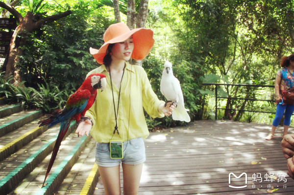 一起去三亚旅游就是最好的陪伴,三亚攻略自由行情侣