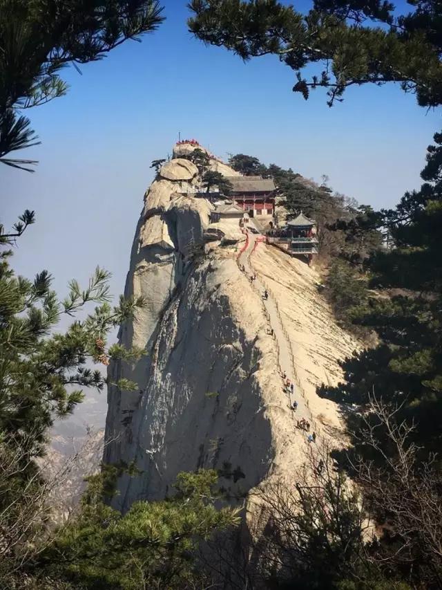 CMPA|2016年3月17日编辑推荐作品