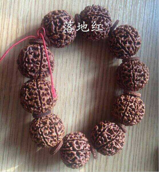 大金刚和落地红的区别在哪里,大金刚怎么辨别是不是落地红