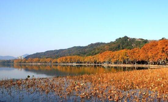 杭州拍婚纱照2万,拍婚纱照去杭州怎么样