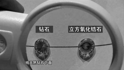 自信的女人喜欢什么花,自信女人最爱美