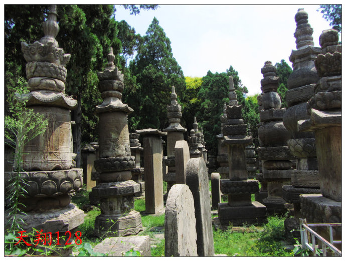 寻金记之金蛤封印完整版,寻金记视频完整版