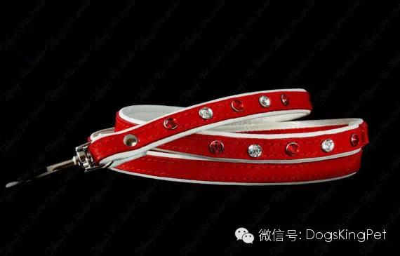 狗狗牵引带大型犬,狗狗牵引带真皮