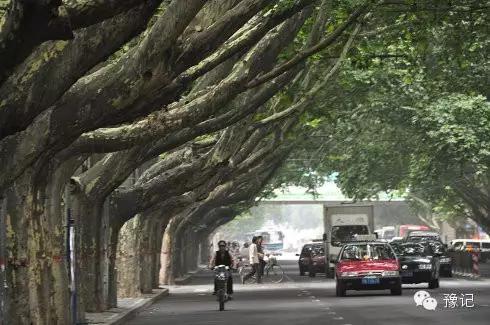 郑州国立西郊公园怎么进去,国立郑州西郊公园