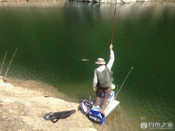 探钓野生鱼视频,探钓野生水库