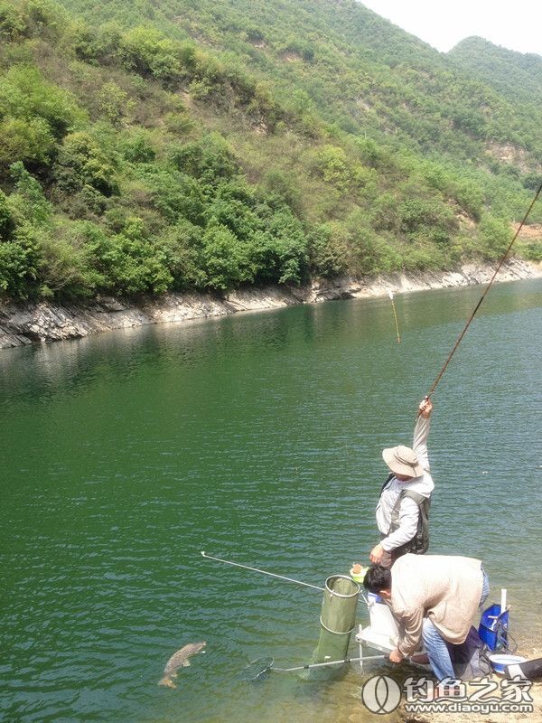 探钓野生鱼视频,探钓野生水库