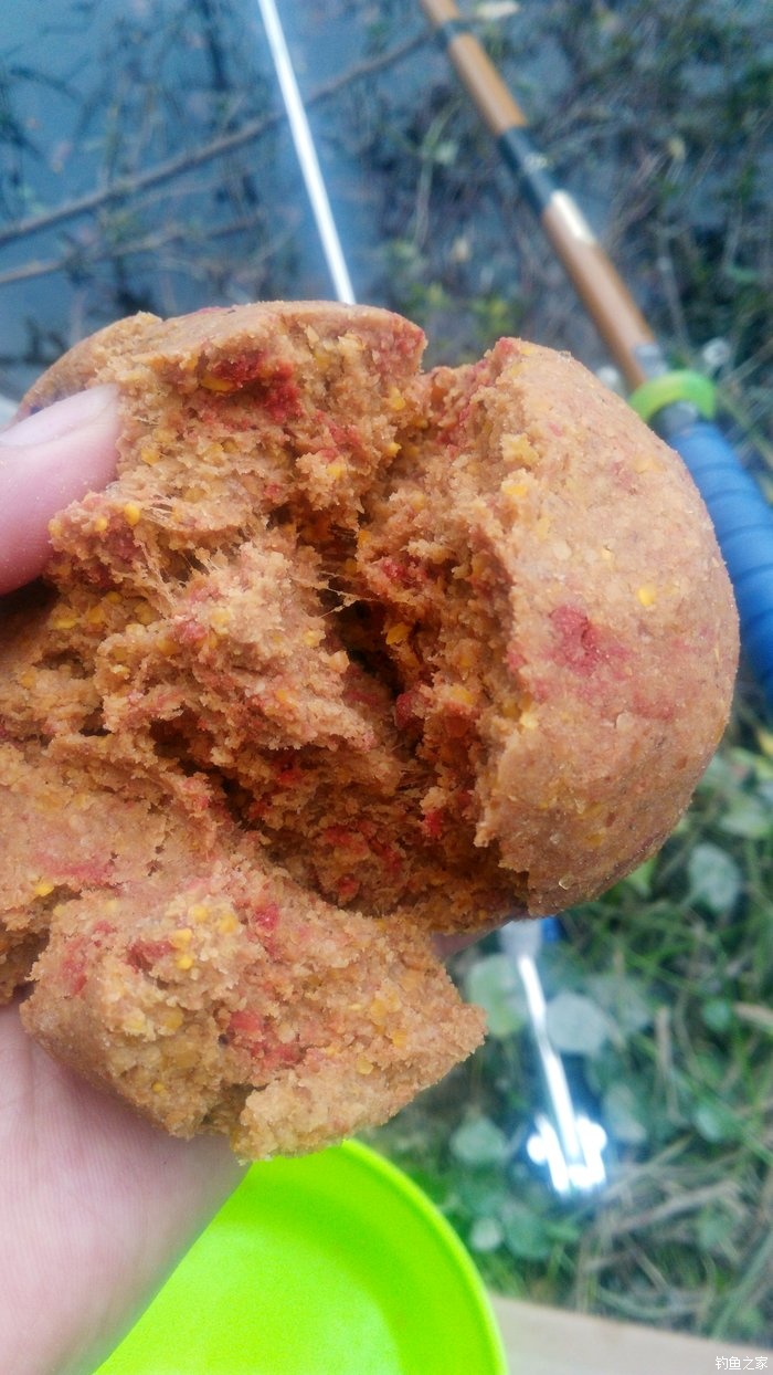 锦鲤迎春鱼跃龙门,锦鲤观赏鱼鸿运当头