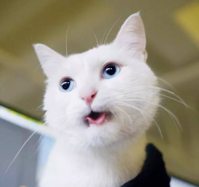 怎么邀请喜欢的人看电影,怎么邀请对象一起看电影