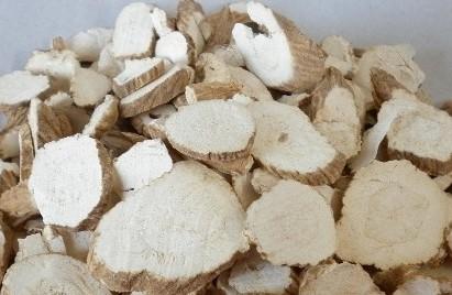 毒蛇咬伤用什么草药敷,麦冬与白芷治毒蛇