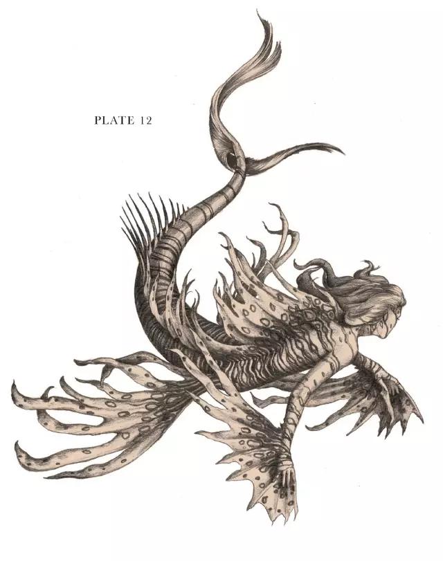 这不科学！游戏怪兽解剖指南