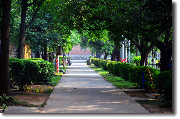 十二道锋味谢霆锋潮汕牛肉,十二道锋味隆苑咖啡谢霆锋