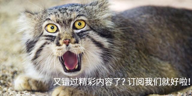 轻*女熟**的抗衰老计划，听知心男医生给你讲讲