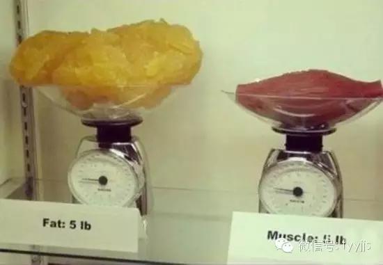 一张图看懂脂肪的真面目,脂肪就像泡沫一样形成过程