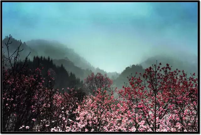 绵阳市江油简介,江油人气怎样