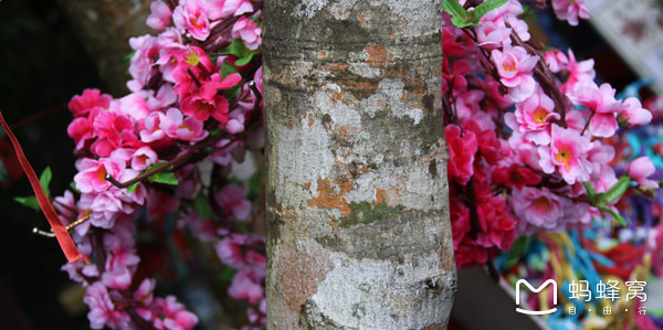 一起去三亚旅游就是最好的陪伴,三亚攻略自由行情侣