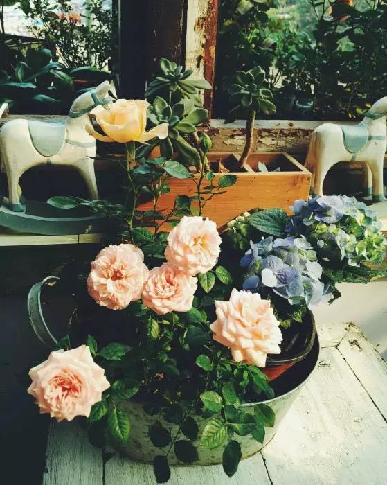 重庆最有特色的餐厅,重庆最市井的美食