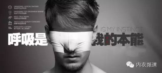 内衣品牌选品,内衣爆款平价品牌有哪些