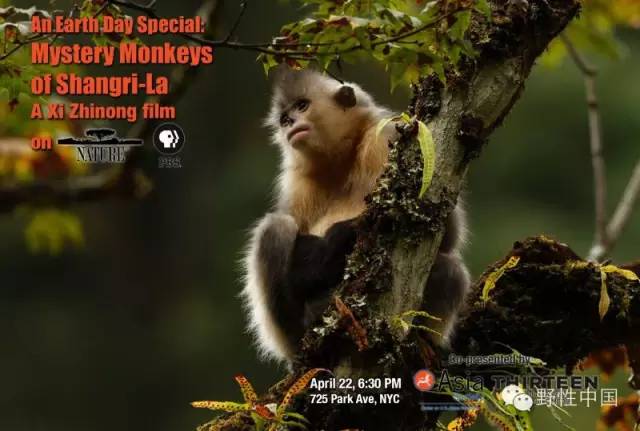 奚志农的作品,奚志农做客东方甄选