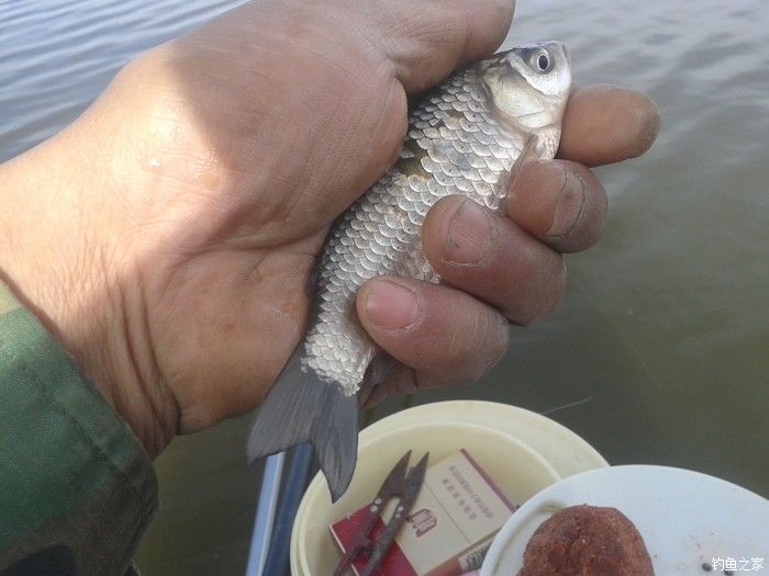 远征远征17,远征17-20