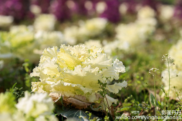 牵着小手去旅行,牵着小手去旅游