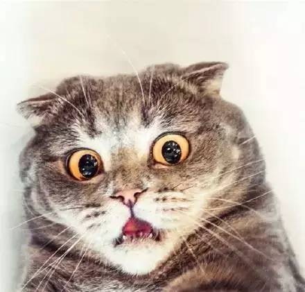 权健vs上港分析,广州富力和天津权健分析