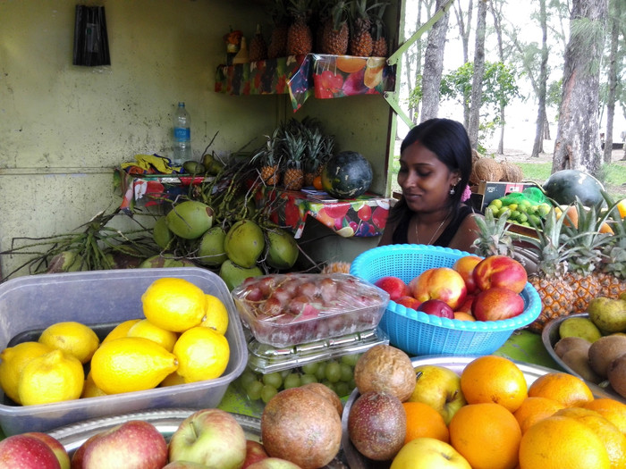 毛里求斯自由行旅游攻略,毛里求斯七天游