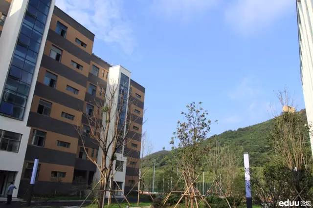 北仑区最贵的幼儿园,宁波北仑最贵的学校