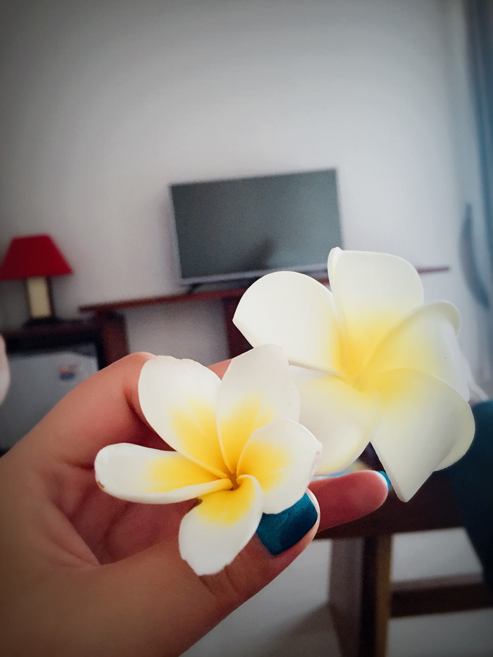 梦幻巴厘只属于你我的蜜月~~逗逼文字、气质趣图