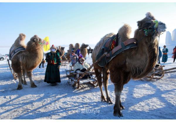 牧马少年歌曲完整版,牧马少年草原