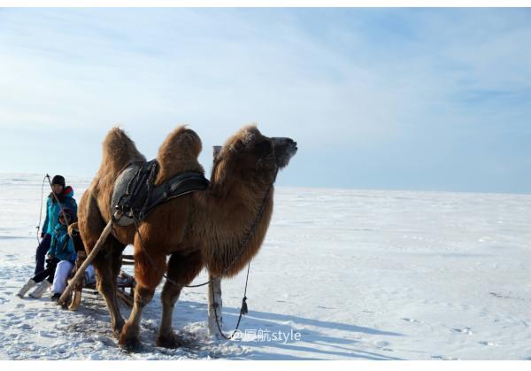 牧马少年歌曲完整版,牧马少年草原