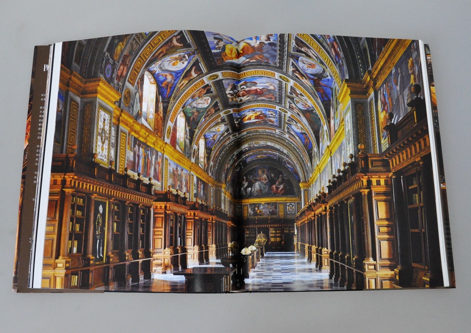 浙江人美出版社直播间,2020浙江文艺出版社新书