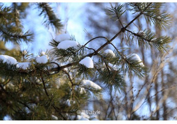 牧马少年歌曲完整版,牧马少年草原