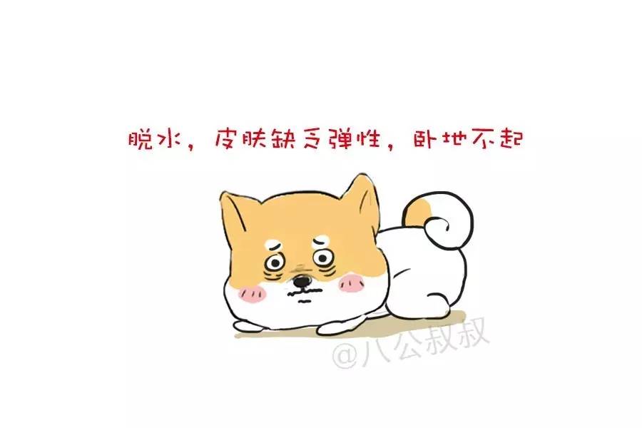 怎样缓解狗狗肠胃炎肚子疼,狗狗慢性肠胃炎可以吃西咪替丁吗