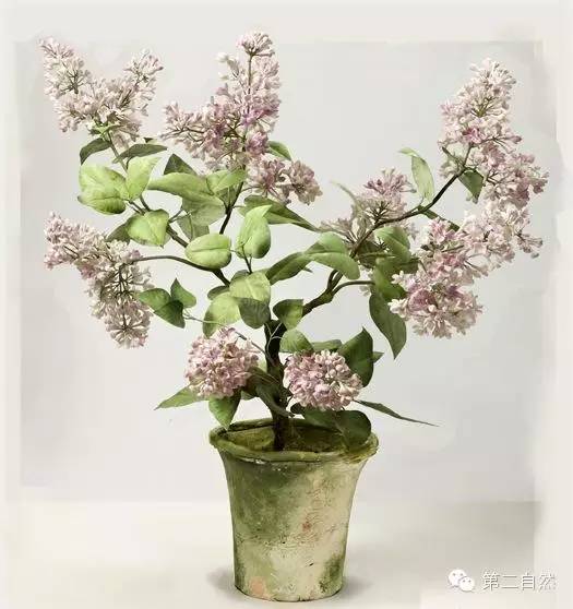 乌克兰大叔和他美到令人窒息的陶瓷永生花