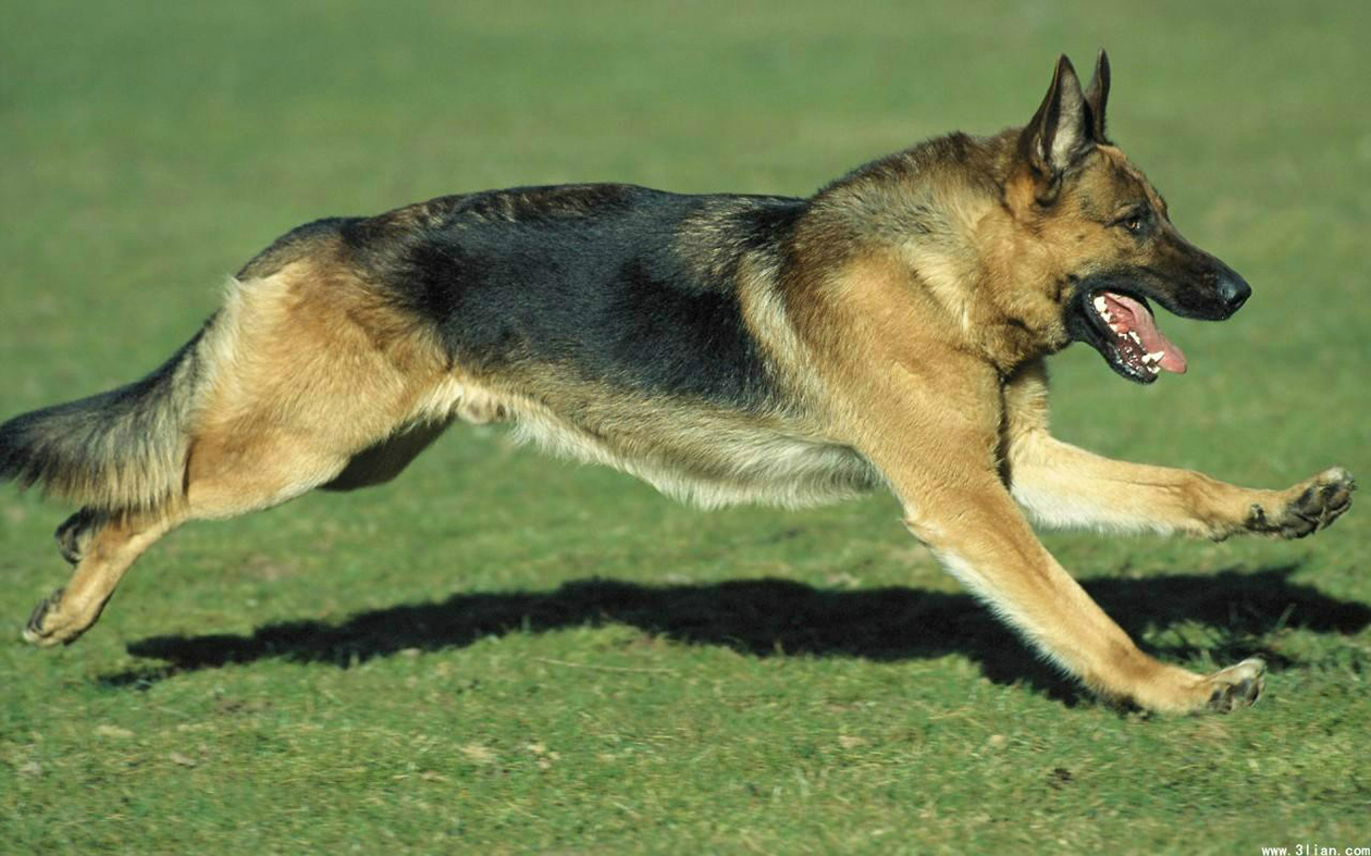 奶粉假货怎么鉴定,如何鉴定假冒品牌