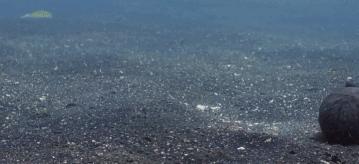 豆瓣9.7的冷门好片，送给每个热爱生命的人